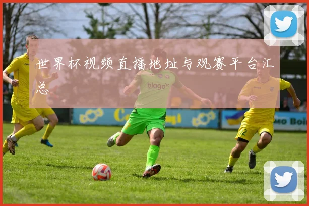 世界杯视频直播地址与观赛平台汇总