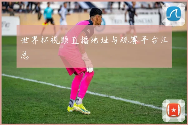 世界杯视频直播地址与观赛平台汇总