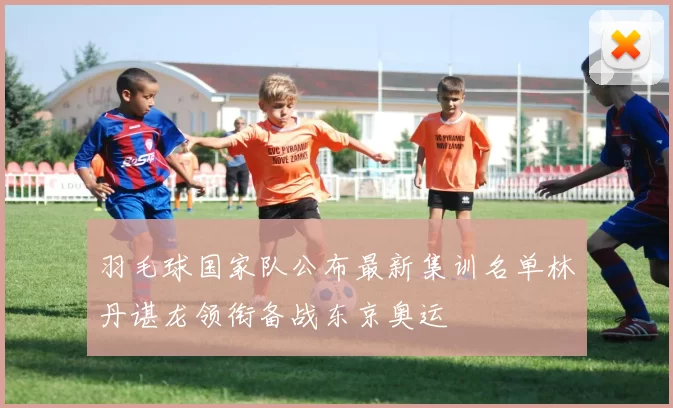 羽毛球国家队公布最新集训名单林丹谌龙领衔备战东京奥运
