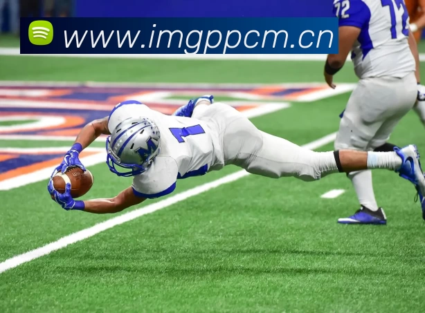 App Interface Preview